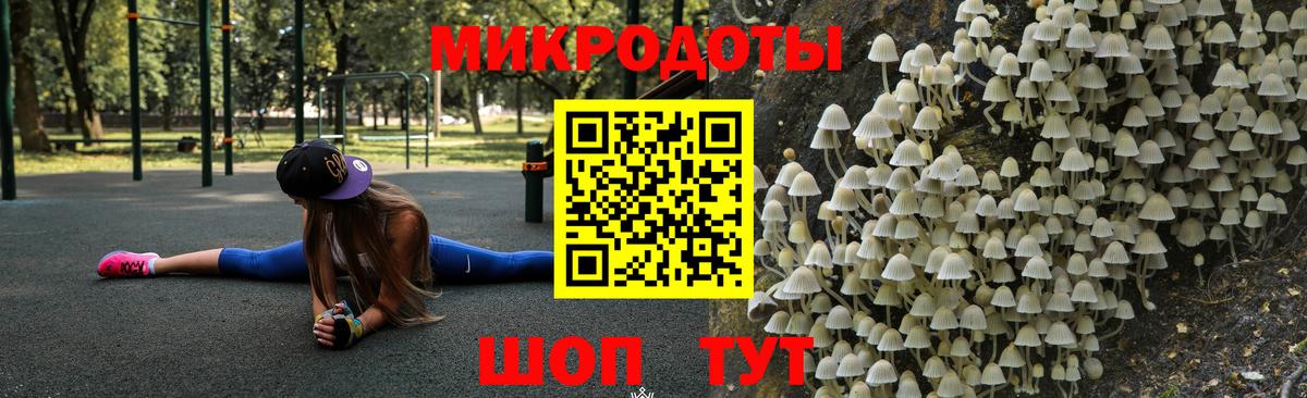Псилоцибиновые грибы Psilocybe Нерюнгри