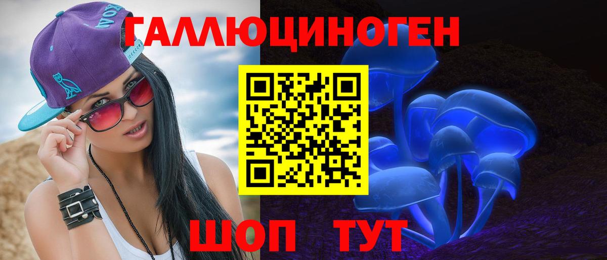 Псилоцибиновые грибы мицелий  Вход с VPN  Галлюциногенные грибы Psilocybine cubensis  где купить наркотик  Нерюнгри 